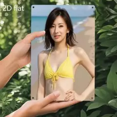 北川景子／ブリキ看板 新品未使用　ビーチデザインのスズ板 30cm x 20cm
