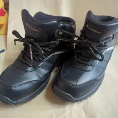 Item thumbnail for item 423e2fa2-496d-4ad9-bc8a-38519083ea4f