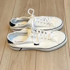 ラコステ スニーカー ホワイト 25.5