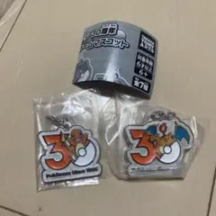 ポケモン30周年メタルチャームマスコット ガチャ　2点セット