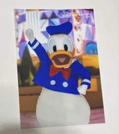 ドナルド　スペシャルフォト　ディズニー　スモールワールド　2024 フォトファン