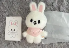 2026年最新】10cm skzoo leebitの人気アイテム - メルカリ