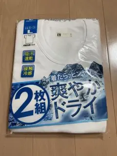 着たら、ヒンヤリ。爽やかドライ　半袖Tシャツ　Lサイズ　2枚セット　ホワイト　白