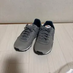 NIKE スニーカー グレー 24.5cmのサムネイル