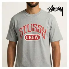 【STUSSY】90s'USA製 白タグ vintage カレッジロゴ　Tシャツ