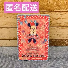 ミニー パルパルーザ リゾラ フリーきっぷ 期限切れ