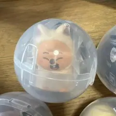 SKZOO ライトマスコット ガチャ ハンクォッカ