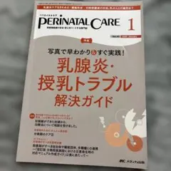 HAMU＊プロフィールお読みください様 リクエスト 2点 まとめ商品