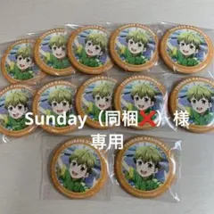 Sunday（同梱❌️） 様　専用ページ