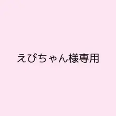 【えびちゃん様専用】