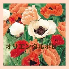 yumi7様 リクエスト 4点 まとめ商品