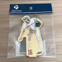 日本ハムファイターズ　勝利祈願　ゴールドミラーアクリルスタンド　達孝太 #16