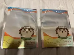 シーサー　クリアカード 2枚セット