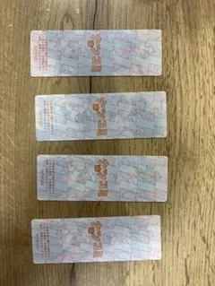 ナツコミ 2024