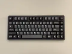 VARMILO Minilo75 HE Magnetic White