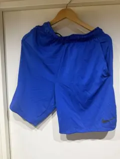 Nike 青 ハーフパンツ