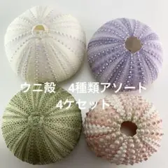 あおい様 リクエスト 4点 まとめ商品