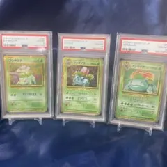 PSA9.10】フシギダネ フシギソウ フシギバナ Classic 3連番 - メルカリ