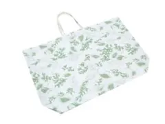 Item thumbnail for item deb1e94a-4726-4e5b-997a-eac8604ca569