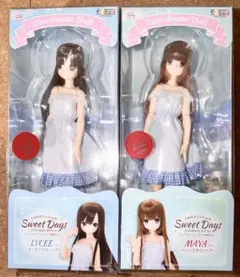 サアラズ ア・ラ・モード マヤ リセ コーディネイトドール アゾン AZONE