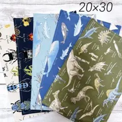 ランチョンマット20×30 男の子　恐竜　海の生き物　昆虫　5枚　ハンドメイド
