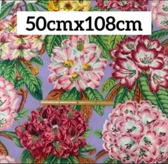 USAコットン ケイフファセット 花柄 生地 ③ 50cm ラスト1枚