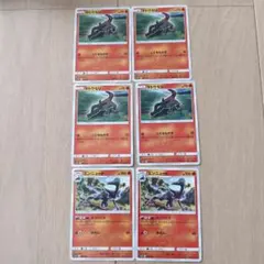 ヤトウモリ エンニュートセット　6枚