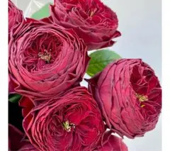 Phạm Trinh様 リクエスト 2点 まとめ商品