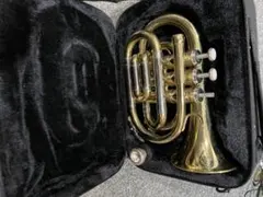 2026年最新】ポケットトランペットの人気アイテム - メルカリ