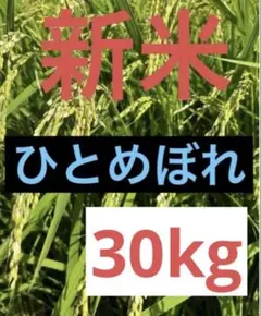 新米　ひとめぼれ30kg