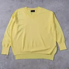 【美品】INED イネド Vネックニット 長袖　ニット　M 9 黄色