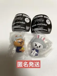 skzoo スキズ　サウナ　ガチャ　ハンクォッカ リービット
