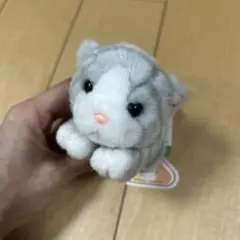 2025年最新】ジョイフルメイト 猫の人気アイテム - メルカリ