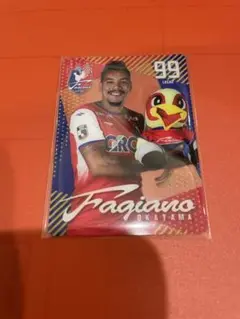 ファジアーノ岡山 withファジ丸 プラスチックカード ルカオ