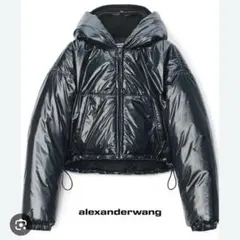 2025年最新】Alexander Wang ダウンジャケットの人気アイテム - メルカリ