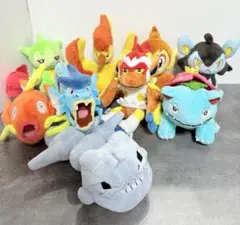 ポケモンセンター　ポケモンfit ロゼリオ　ゴウカザル　ハガネール　コイキング