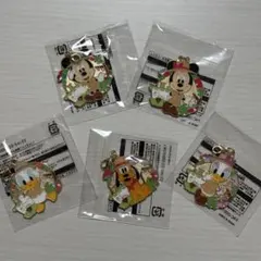 ディズニーランド　ジャングルカーニバル　チャーム　コンプセット