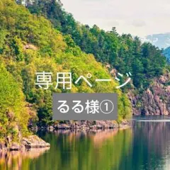 専用ページ　るる様①