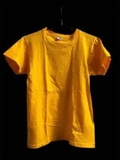 ⭐️70’s CHAMPION Tシャツ バータグ ブランク 無地 blank