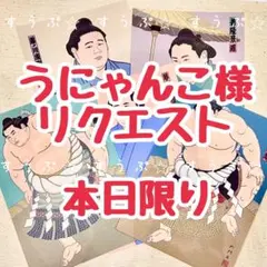 うにゃんこ様 リクエスト 2点 まとめ商品