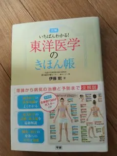 図解 いちばんわかる！東洋医学のきほん帳 全身奇穴MAPポスター付のサムネイル