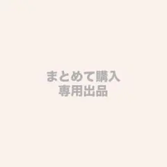 h様 リクエスト 2点 まとめ商品