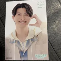 EBiDAN museum 2026 入場特典さくらしめじ 高田彪我