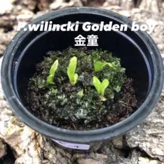 ®️様 リクエスト 2点 まとめ商品