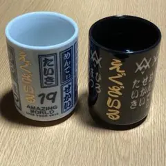 EXILE★2015ライブグッズ★AMAZING WORLD★メンプロ★湯呑み