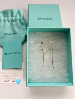 2025年最新】ティファニー tワイヤー ピアスの人気アイテム - メルカリ