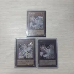 遊戯王 灰流うらら 3枚セット