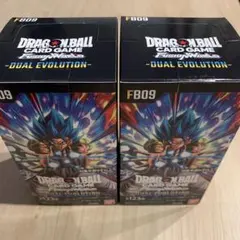 DUAL EVOLUTION デュアルエボリューション テープ付き 2BOX - メルカリ