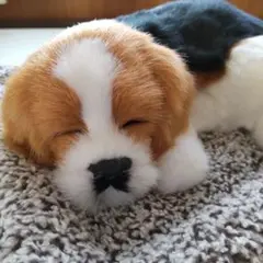 リアル　おねむりわんちゃん　犬　ぬいぐるみ　置物