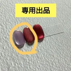 専用出品3点ネイルチップ